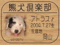 �I�[�i�[�́A�`�����X�}�}����ł���